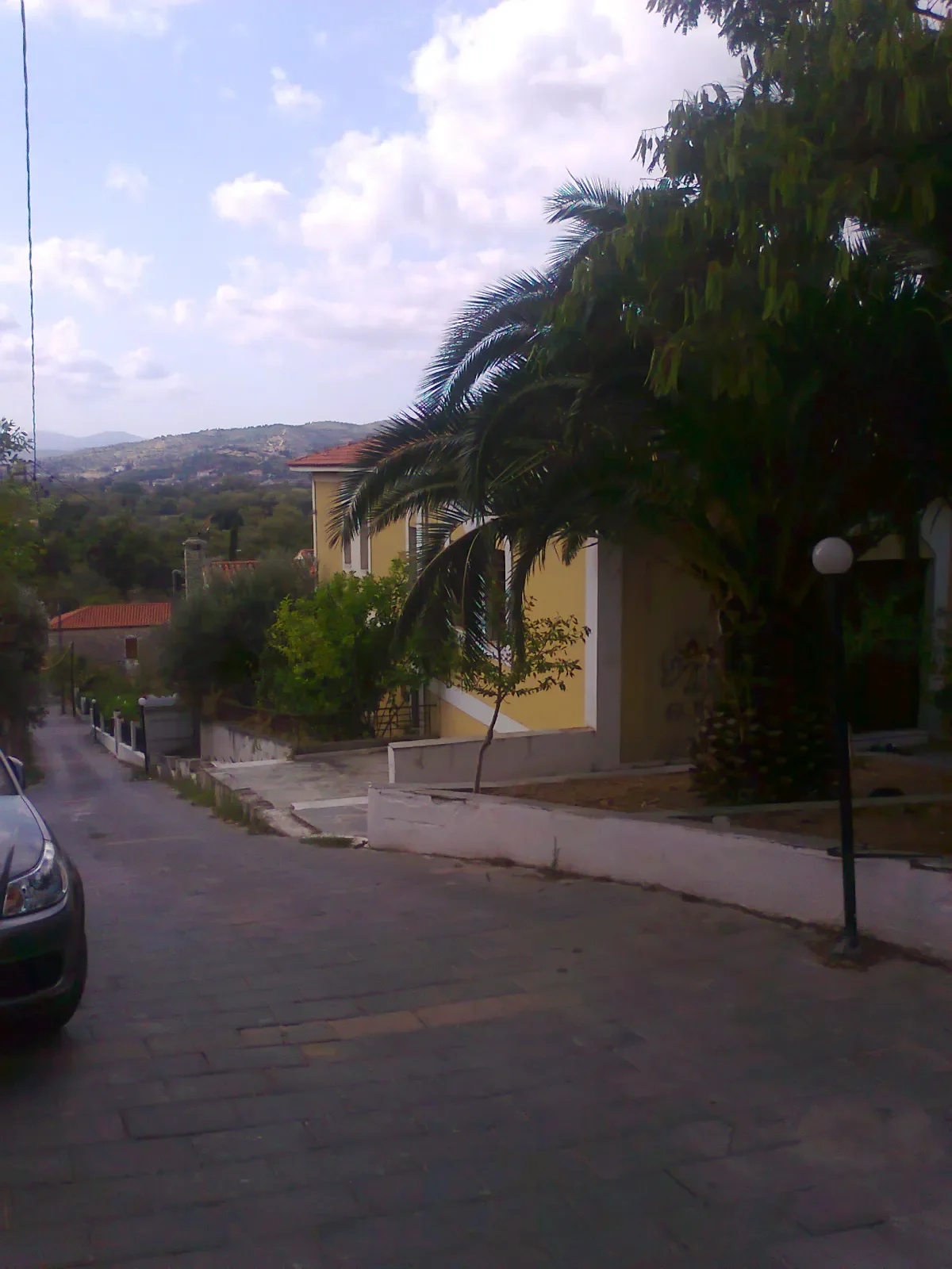 AVLONARI