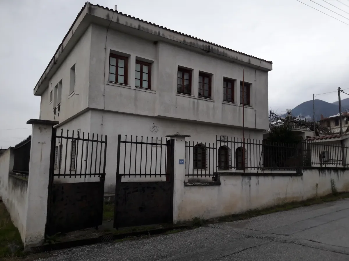 ΝΕΟ ΠΕΤΡΙΤΣΙ
