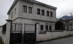ΝΕΟ ΠΕΤΡΙΤΣΙ
