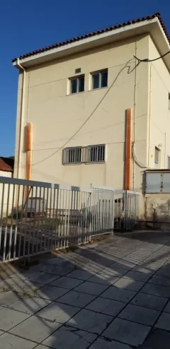 ARACHOVITIKA